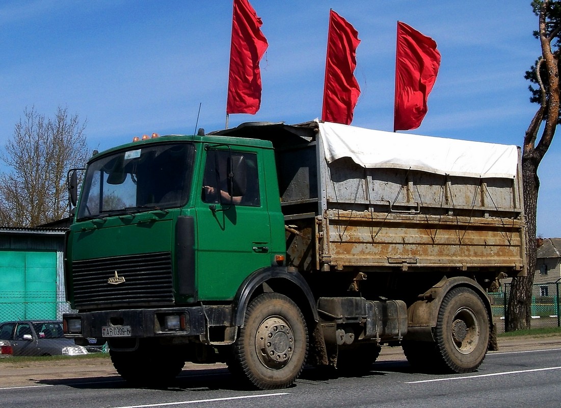 Могилёвская область, № АВ 0309-6 — МАЗ-5551 (общая модель)