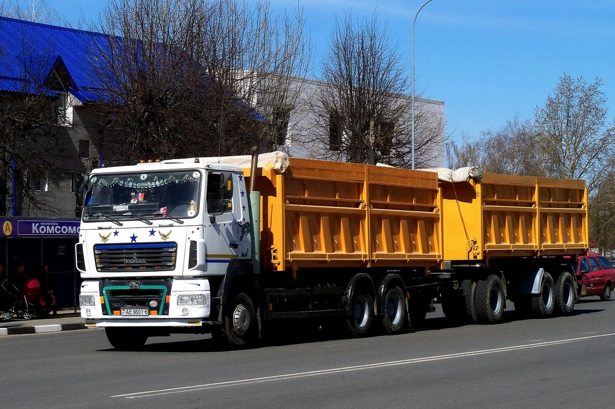 Могилёвская область, № АЕ 9601-6 — МАЗ-6501 (общая модель)