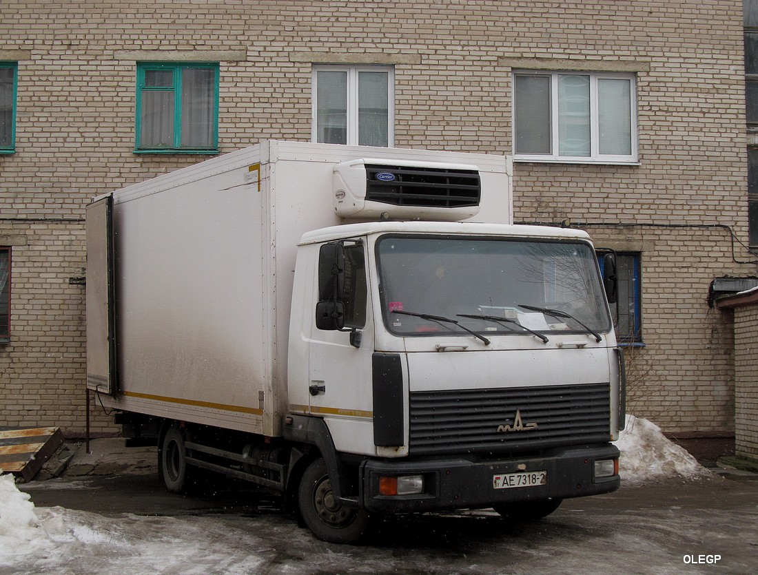 Витебская область, № АЕ 7318-2 — МАЗ-4371 (общая модель)