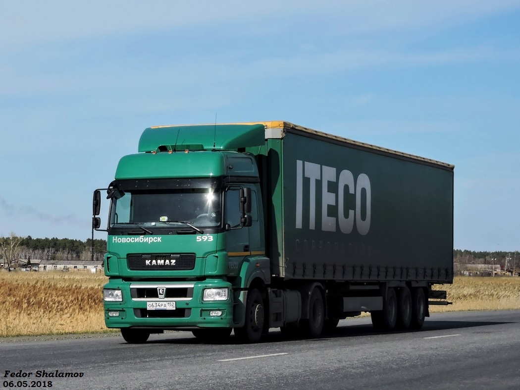 Новосибирская область, № 593 — КамАЗ-5490-S5(87)