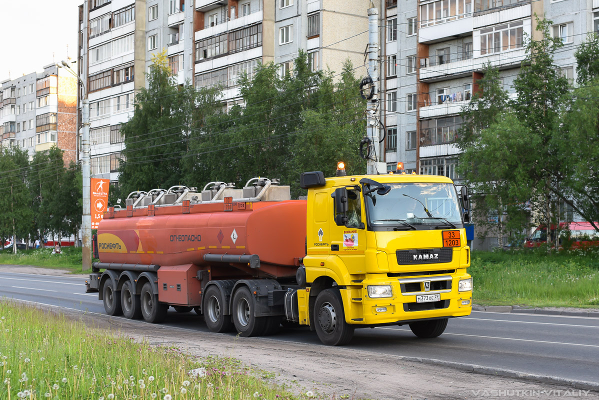 Архангельская область, № М 373 ОЕ 29 — КамАЗ-65206-S5(87)