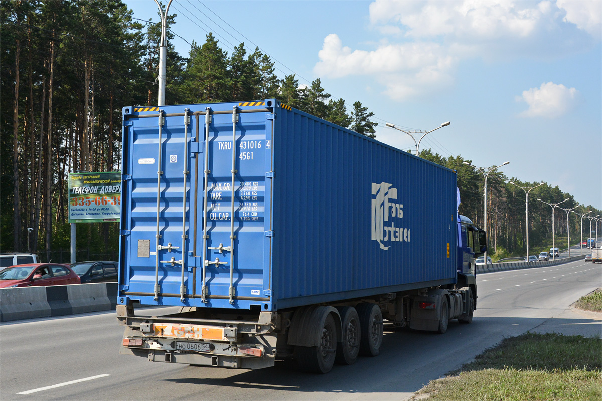 Новосибирская область, № С 255 МК 154 — MAN TGS 19.390