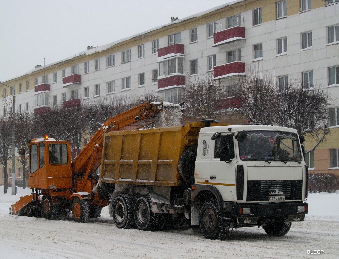 Витебская область, № 3865 — МАЗ-551605