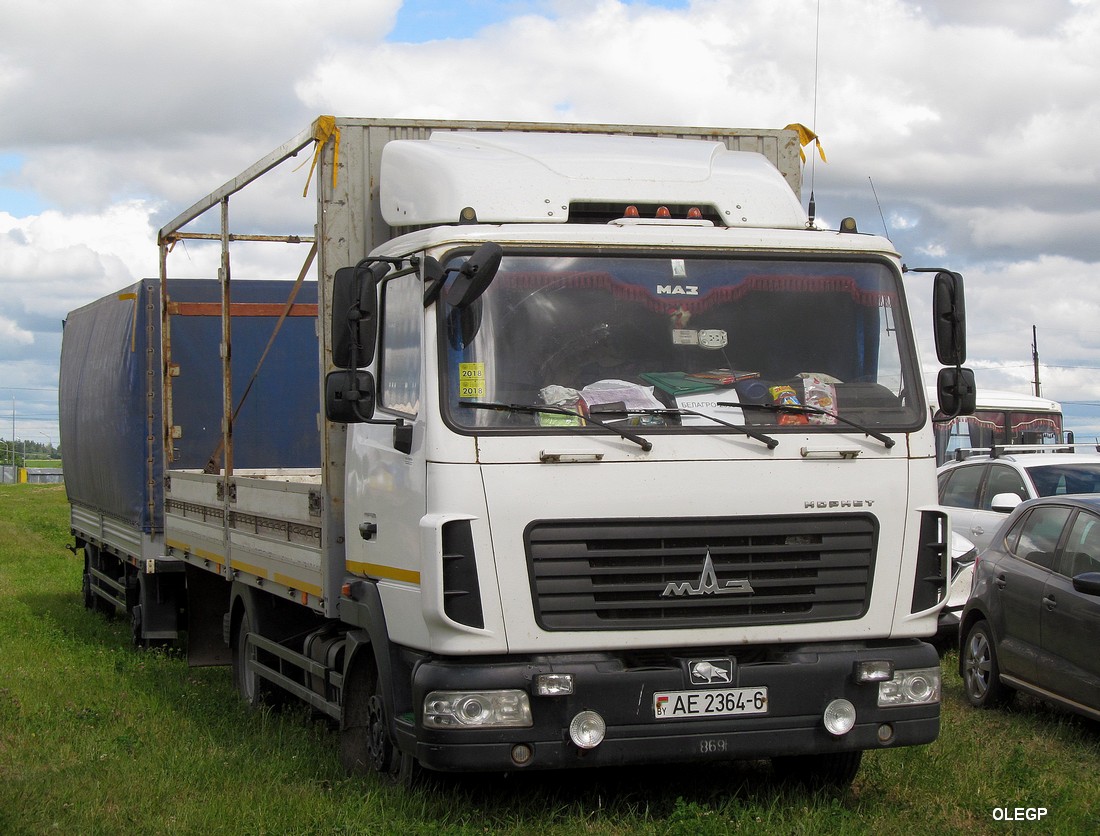 Могилёвская область, № АЕ 2364-6 — МАЗ-4371P2