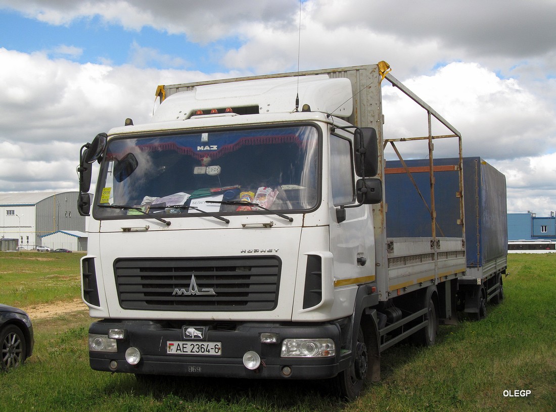 Могилёвская область, № АЕ 2364-6 — МАЗ-4371P2