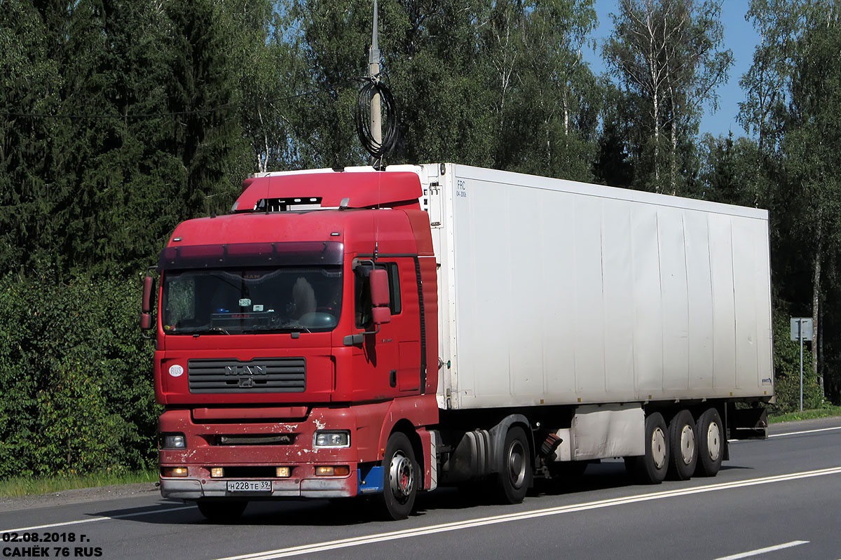Калининградская область, № Н 228 ТЕ 39 — MAN TGA 18.440