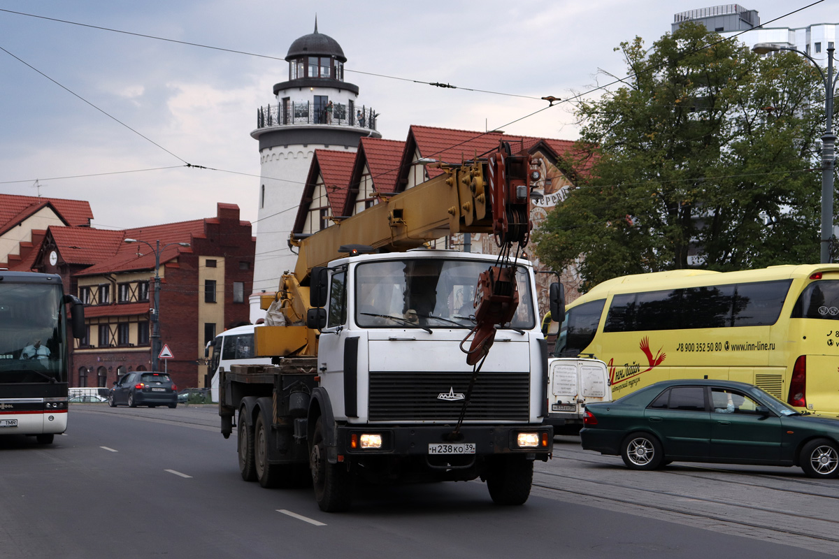 Калининградская область, № Н 238 КО 39 — МАЗ-630303