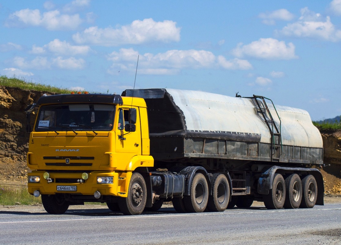 Башкортостан, № С 646 АЕ 102 — КамАЗ-65116-A4(23)