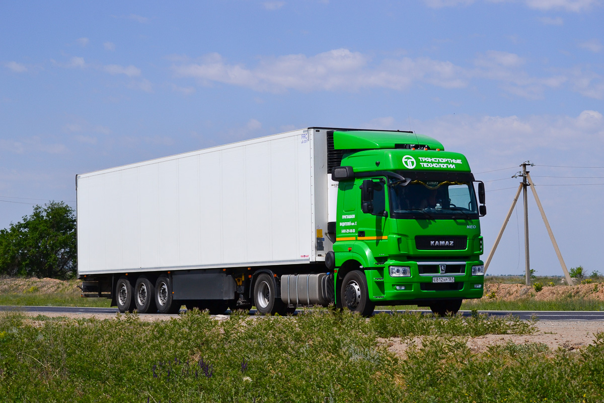 Ростовская область, № Е 812 ХР 161 — КамАЗ-5490-S5(87)