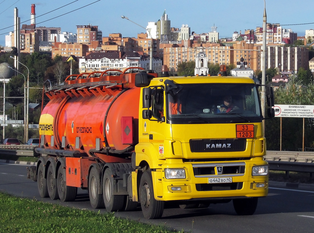 Калужская область, № О 442 ВО 40 — КамАЗ-65206-S5(87)