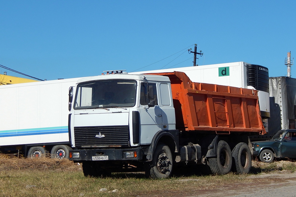 Белгородская область, № О 558 МВ 31 — МАЗ-5516 [551600]