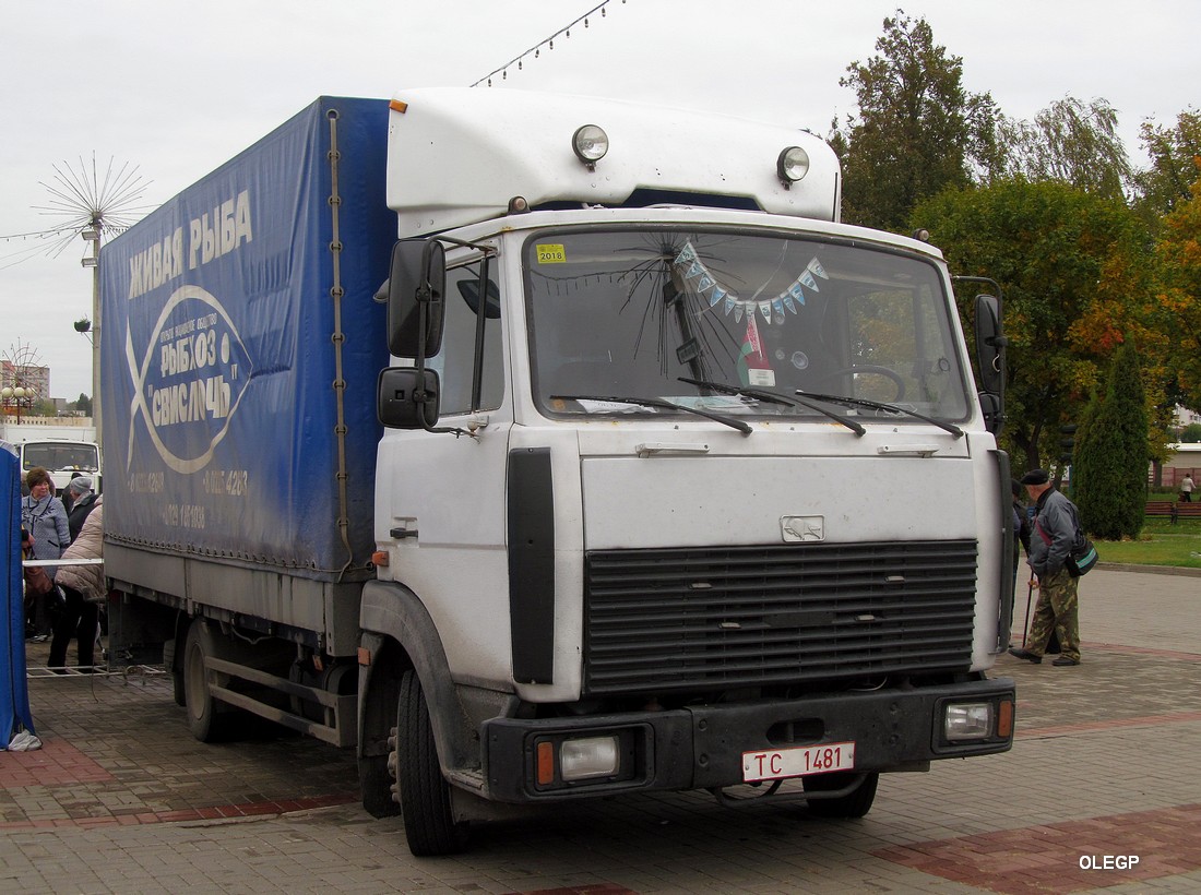 Могилёвская область, № ТС 1481 — МАЗ-437041