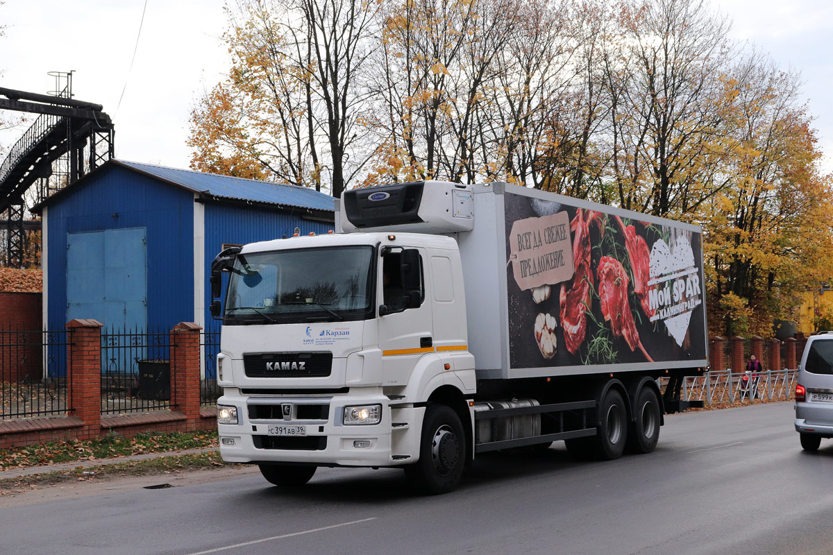Калининградская область, № С 391 АВ 39 — КамАЗ-65207-S5(87)
