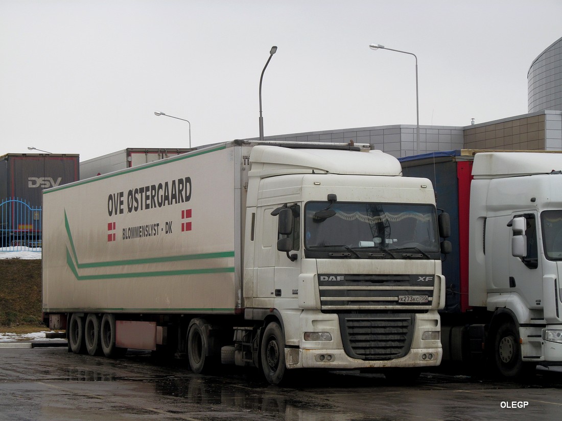 Московская область, № Х 273 КС 750 — DAF XF105 FT