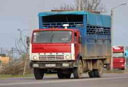 268 КБ