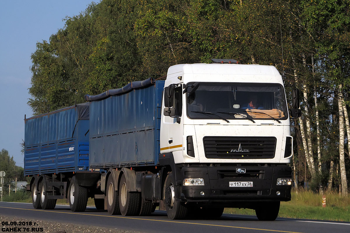 Воронежская область, № У 117 ХХ 36 — МАЗ-631219