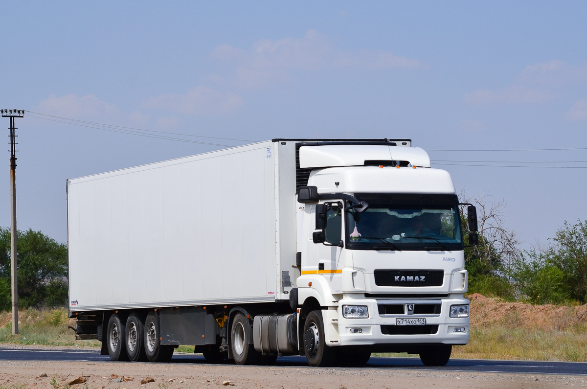 Ростовская область, № Х 714 ХО 161 — КамАЗ-5490-S5(87)