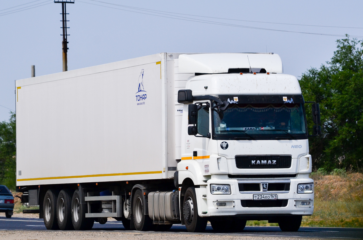Ростовская область, № Т 234 ХО 161 — КамАЗ-5490-S5(87)