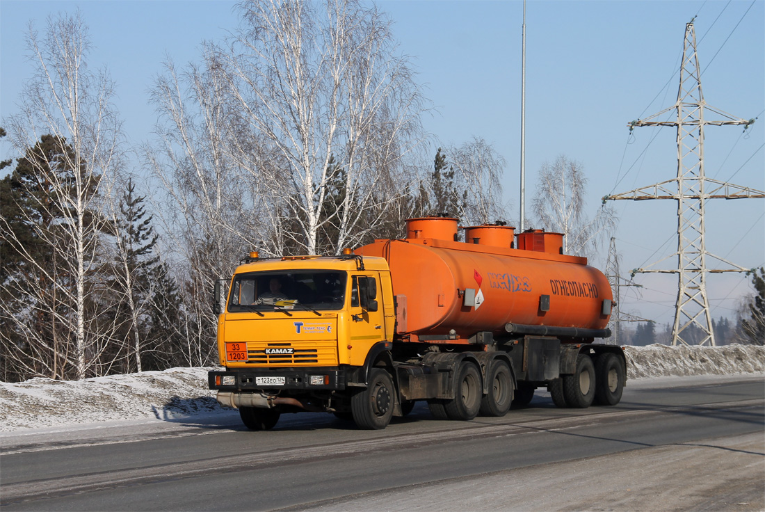 Красноярский край, № Т 123 ЕО 124 — КамАЗ-65116-N3(78)