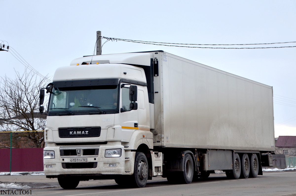 Ростовская область, № О 151 ТУ 161 — КамАЗ-5490-S5(87)