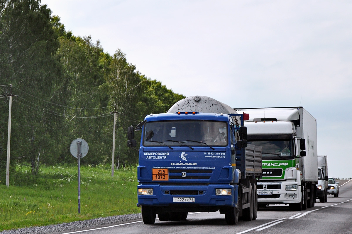 Кемеровская область, № Е 422 ТК 42 — КамАЗ-65117-L4(19)