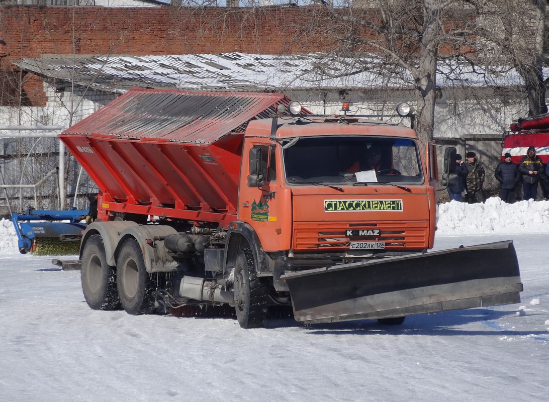 Приморский край, № Е 202 АК 125 — КамАЗ-65115-D3(97)