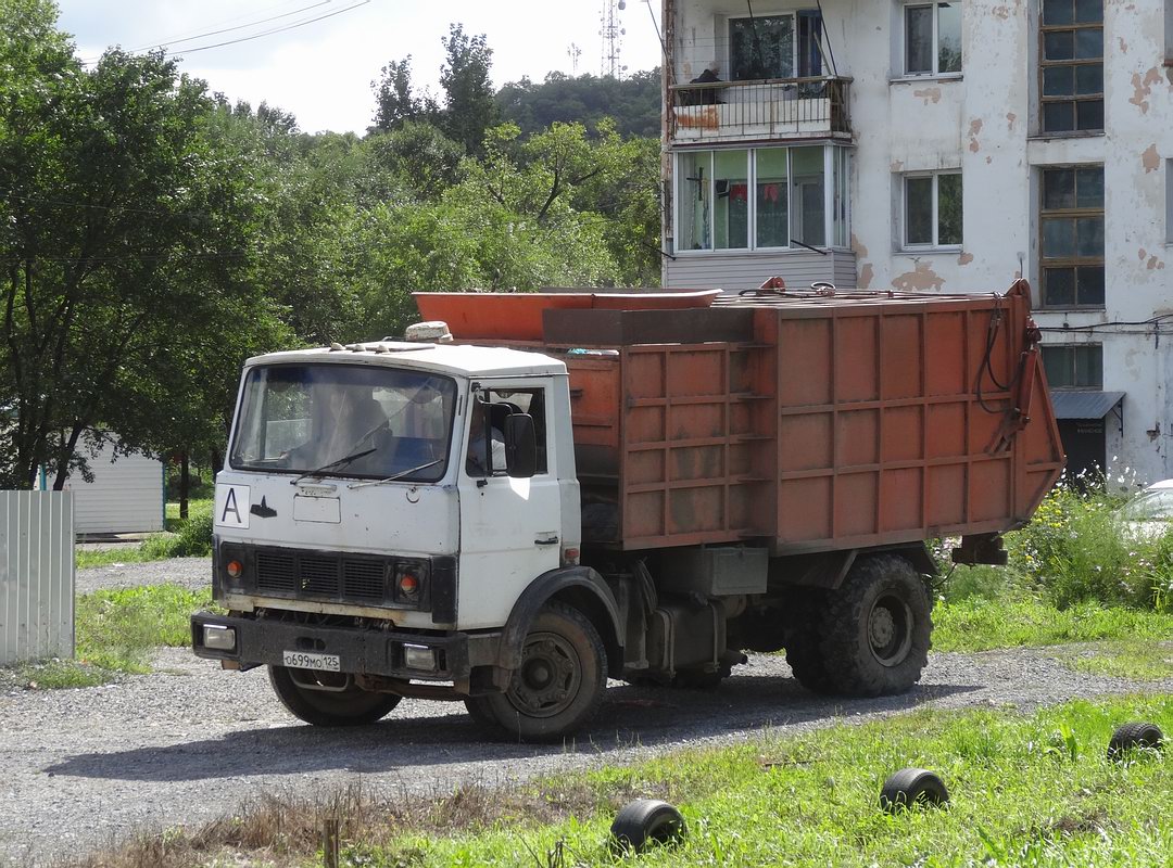 Приморский край, № О 699 МО 125 — МАЗ-5337 [533700]
