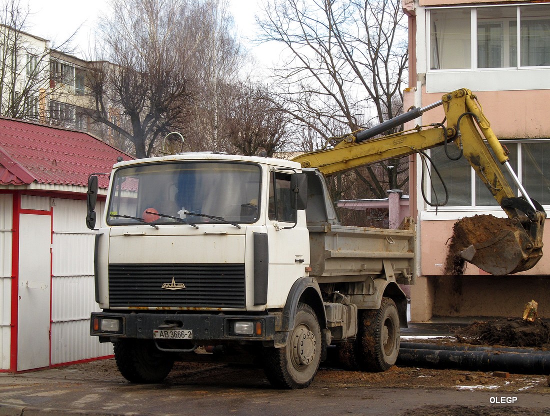 Витебская область, № АВ 3666-2 — МАЗ-5551A2