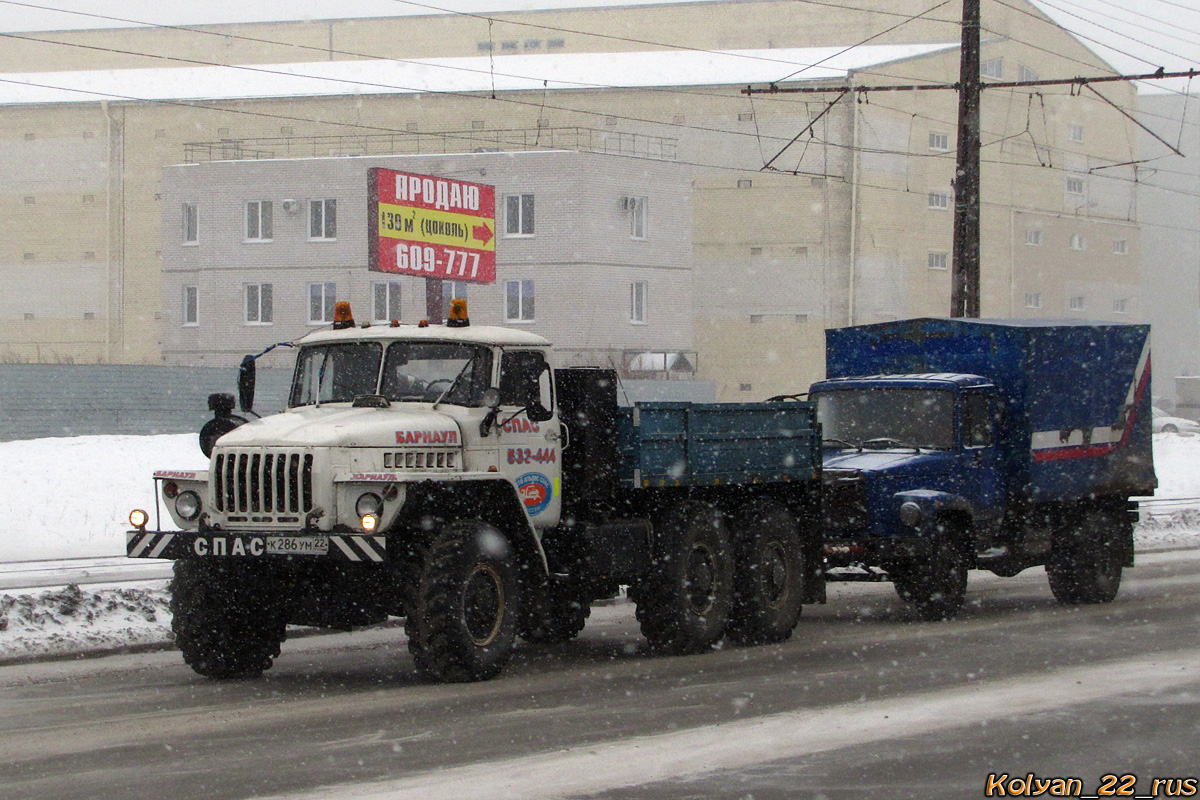 Алтайский край, № К 286 УМ 22 — Урал-43202-10