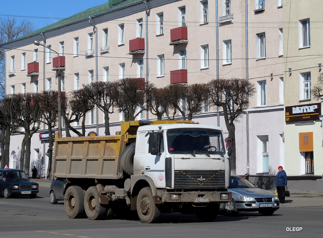 Витебская область, № АЕ 1177-2 — МАЗ-5516 (общая модель)