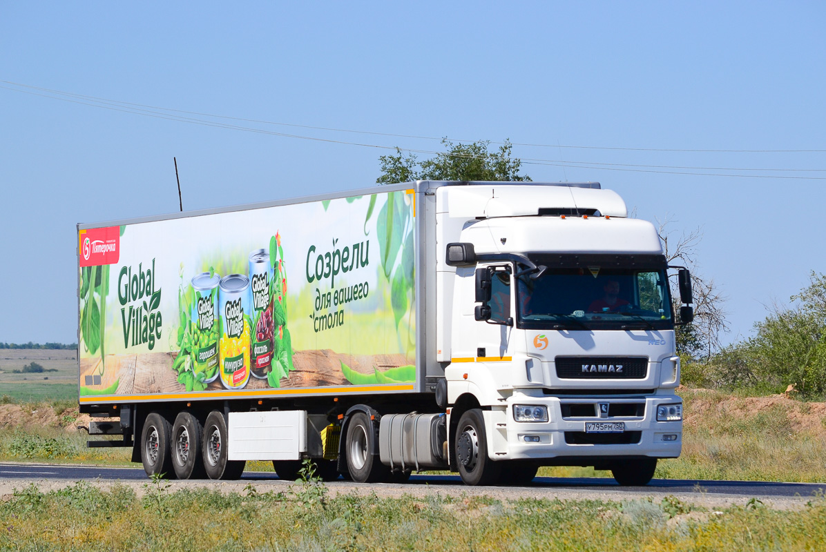 Московская область, № У 795 РМ 750 — КамАЗ-5490-S5(87)