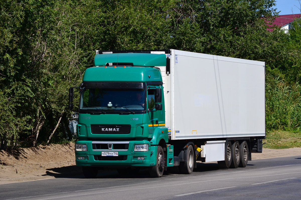 Нижегородская область, № 909 — КамАЗ-5490-S5(87)