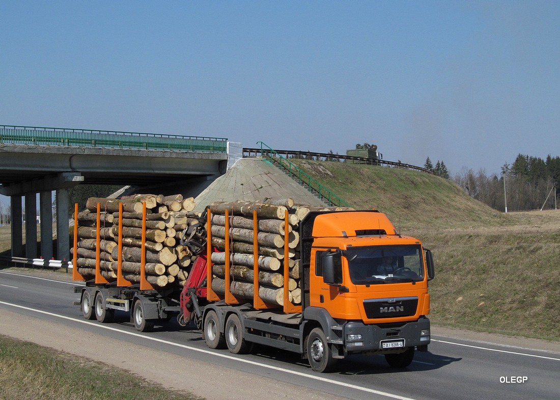 Гродненская область, № АІ 8266-4 — MAN TGS 33.440