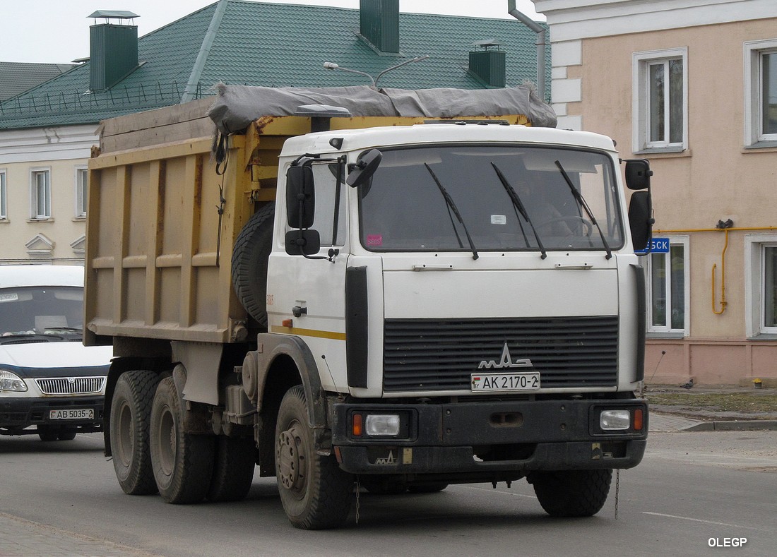 Витебская область, № 3865 — МАЗ-551605