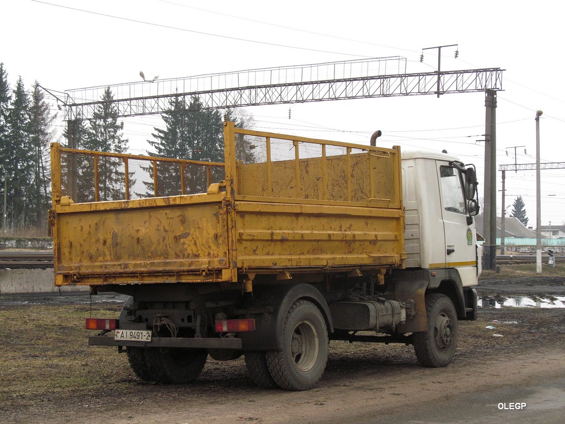 Витебская область, № АІ 9491-2 — МАЗ-4571