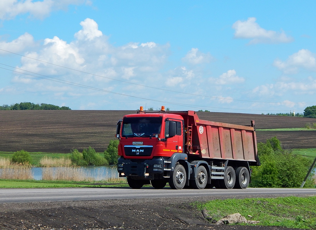 Белгородская область, № Н 246 ЕО 31 — MAN TGS 41.390