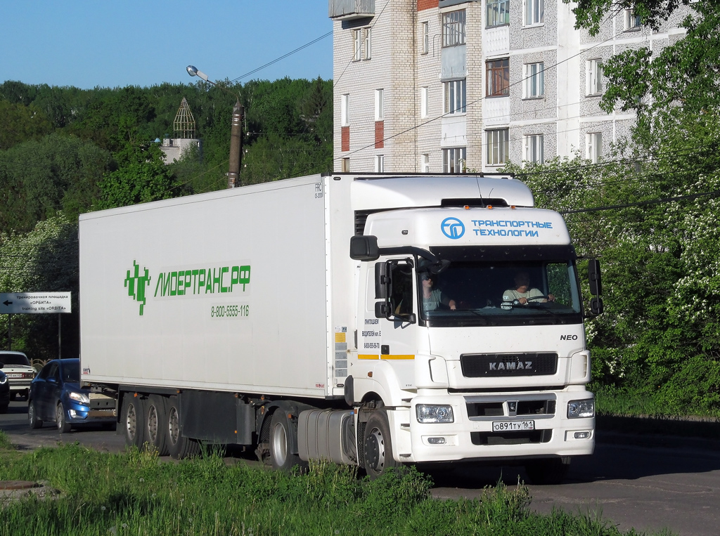 Ростовская область, № О 891 ТУ 161 — КамАЗ-5490-S5(87)