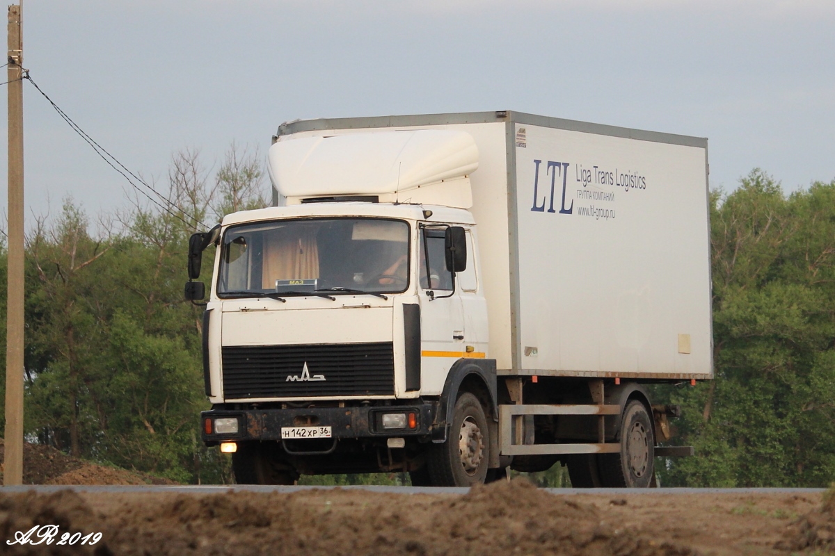 Воронежская область, № Н 142 ХР 36 — МАЗ-533603