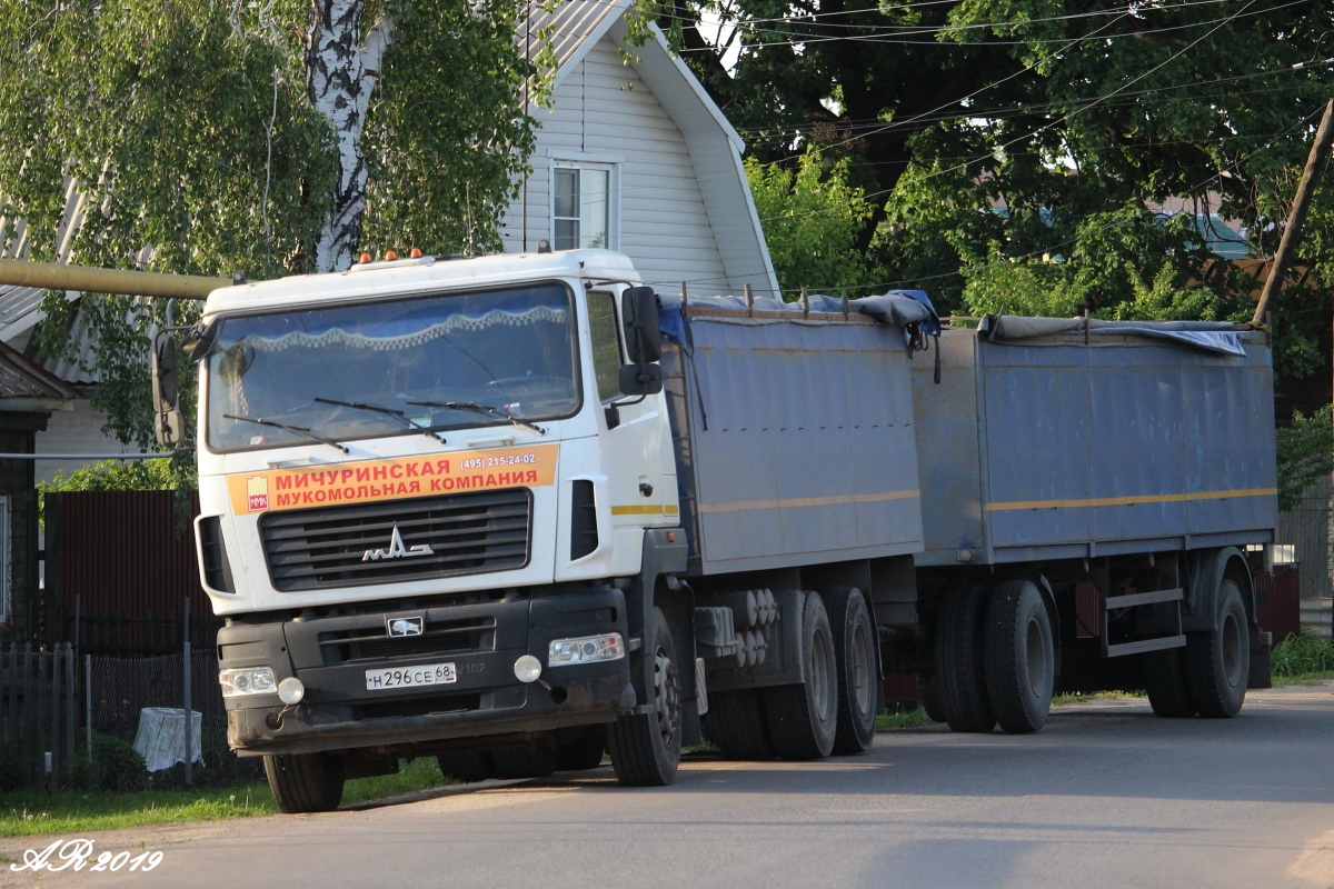 Тамбовская область, № Н 296 СЕ 68 — МАЗ-6312B9