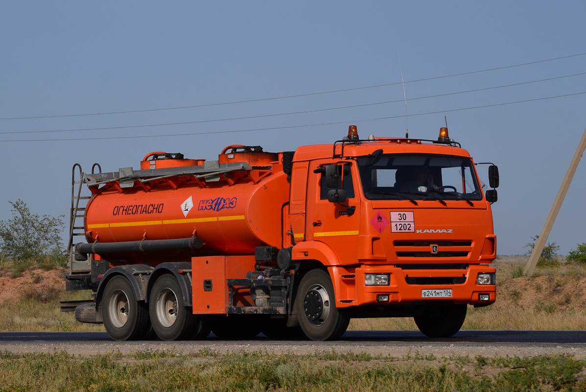 Волгоградская область, № В 241 МТ 134 — КамАЗ-65115-A4(23)