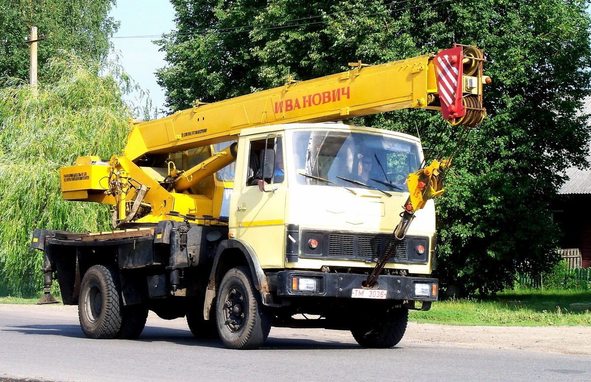 Могилёвская область, № ТМ 3036 — МАЗ-5337 (общая модель)