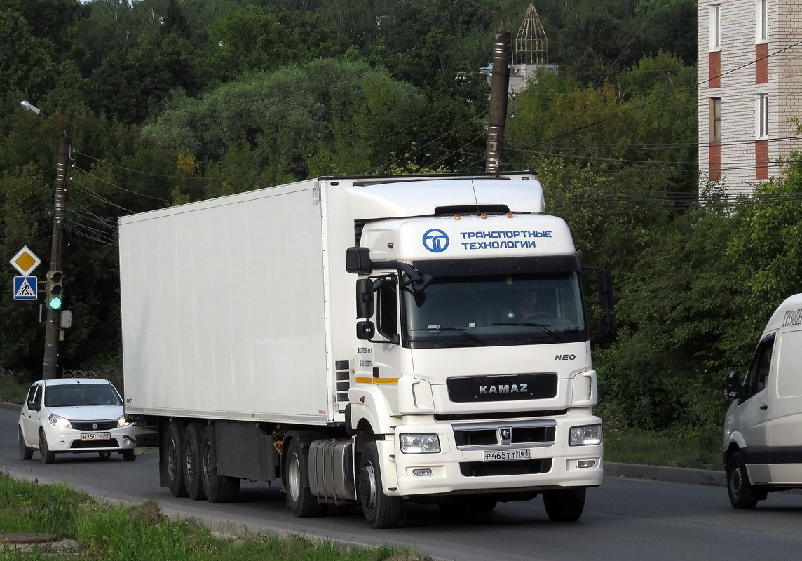 Ростовская область, № Р 465 ТТ 161 — КамАЗ-5490-S5(87)