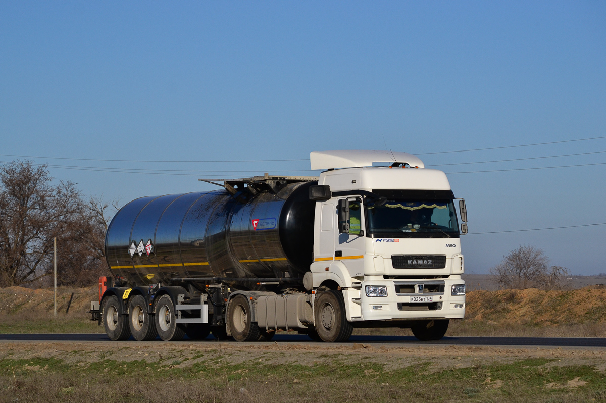 Волгоградская область, № Е 025 ЕТ 134 — КамАЗ-5490-S5(87)