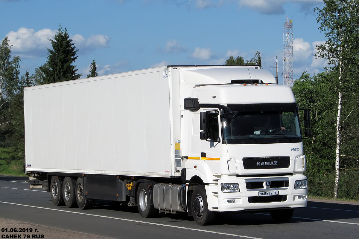Ростовская область, № О 685 ТУ 161 — КамАЗ-5490-S5(87)