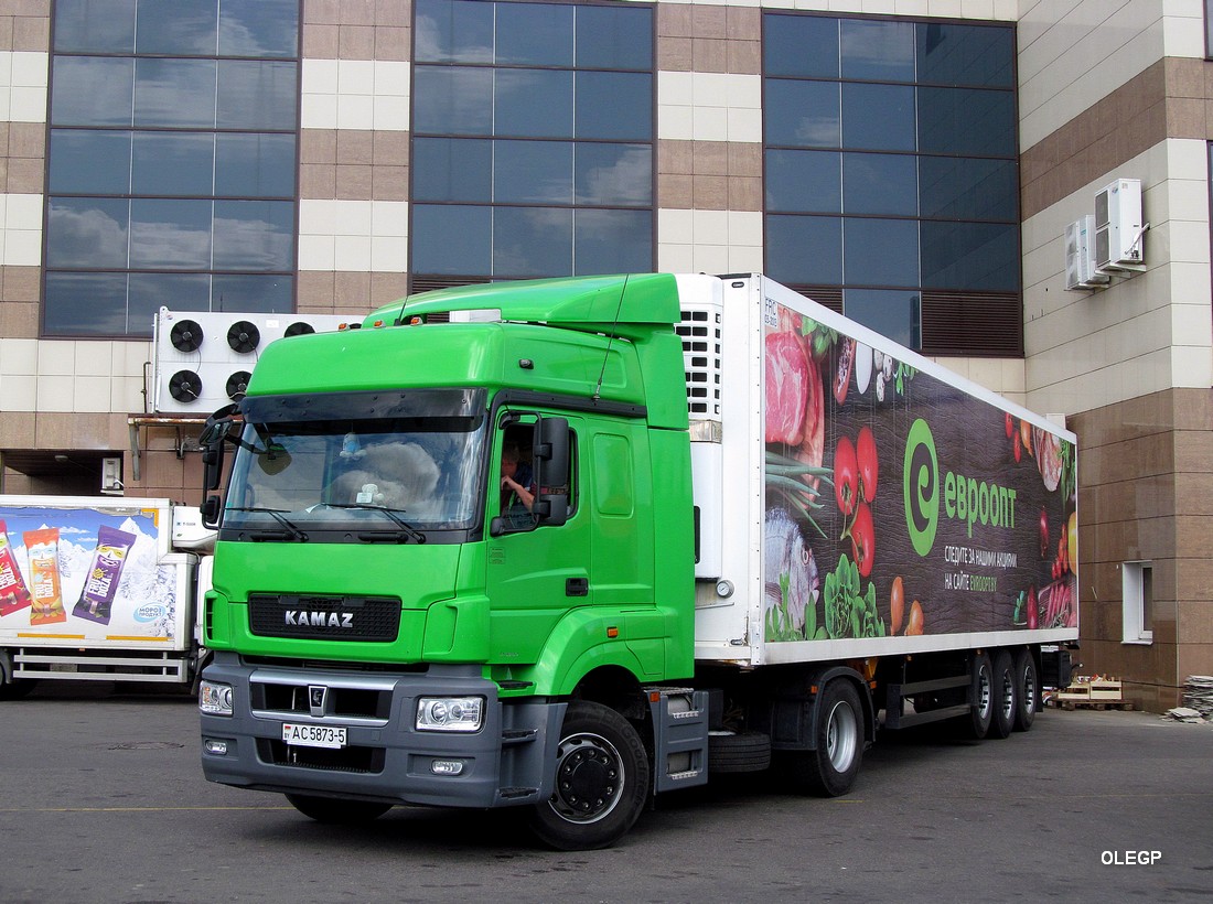 Минская область, № АС 5873-5 — КамАЗ-5490 (общая модель)