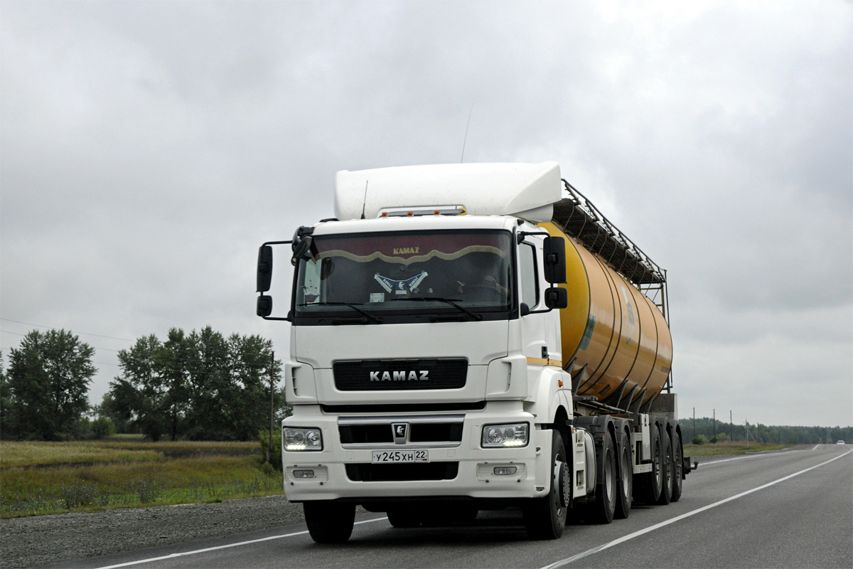 Алтайский край, № У 245 ХН 22 — КамАЗ-65206-T5(68)