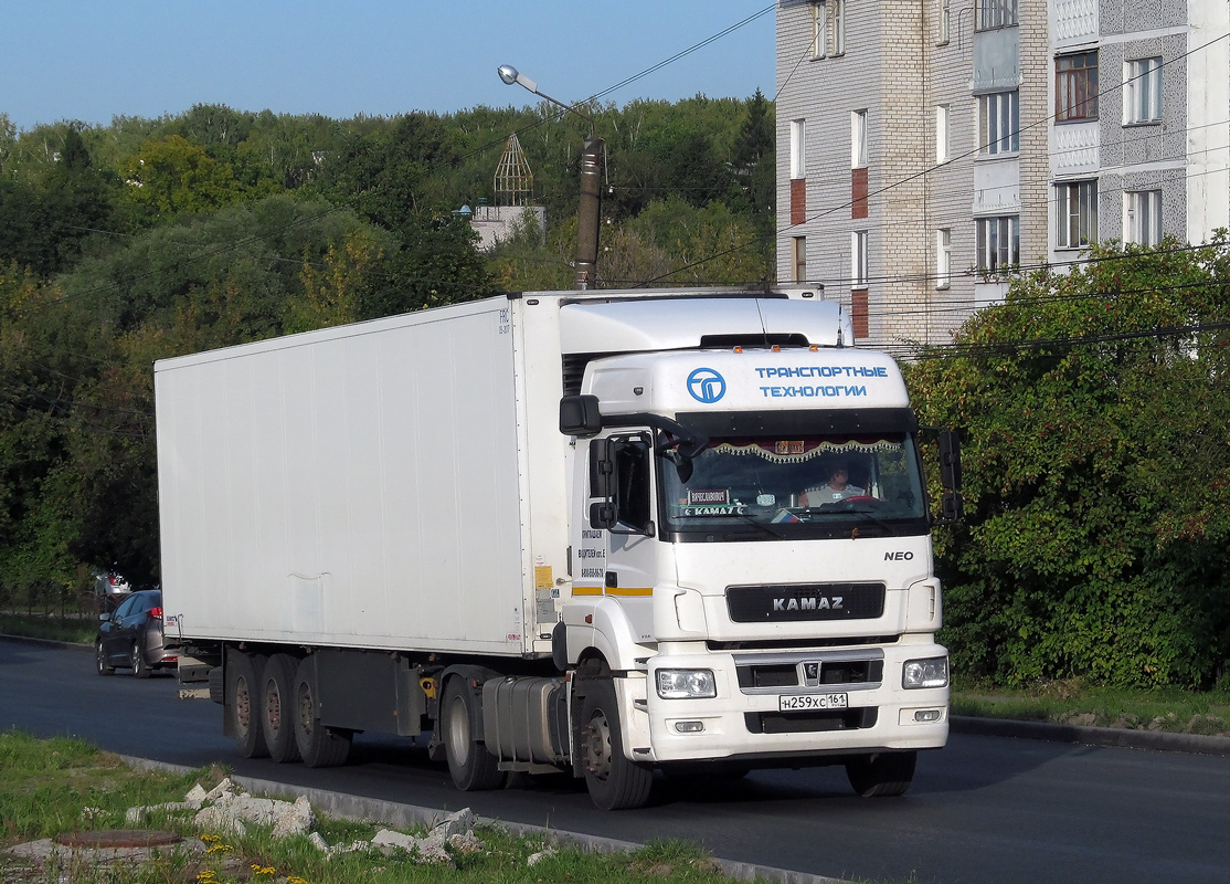 Ростовская область, № Н 259 ХС 161 — КамАЗ-5490-S5(87)
