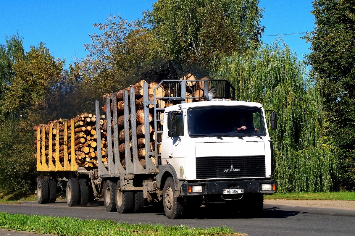 Могилёвская область, № АЕ 2041-6 — МАЗ-6303 (общая модель)
