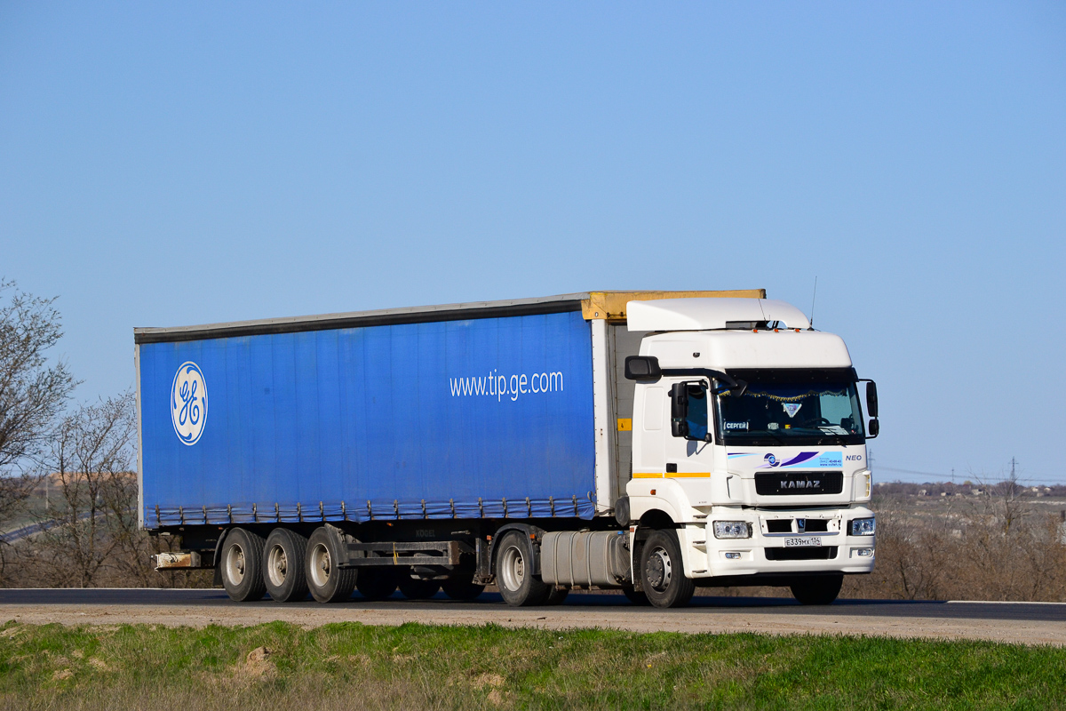 Волгоградская область, № Е 339 МХ 134 — КамАЗ-5490-S5(87)