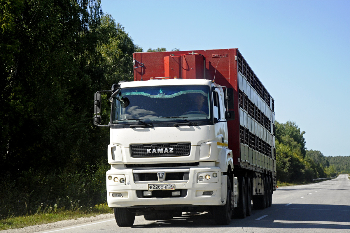 Кемеровская область, № Е 226 СН 154 — КамАЗ-65206-T5(68)